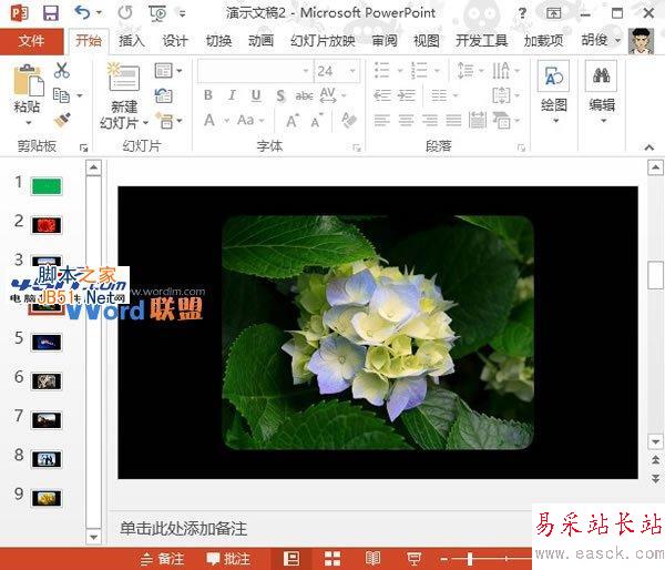 如何批量将图片快速导入到PowerPoint2013中