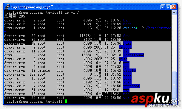 putty,下载,安装