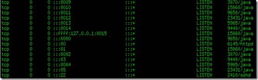 linux查看端口占用,linux,查看端口号占用,查看端口被占用
