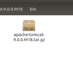 Ubuntu,tomcat9
