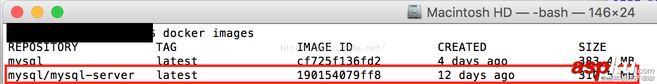 docker,mysql镜像,使用mysql镜像,运行mysql镜像