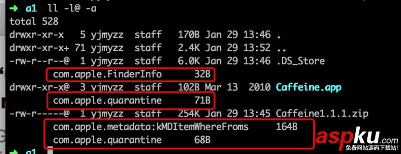 docker常用命令,docker,常用命令详解