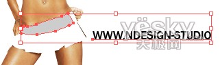 用Illustrator的封套快速制作时装广告_网页教学网Vevb.com整理
