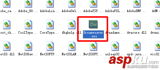 Dreamweaver,单选按钮