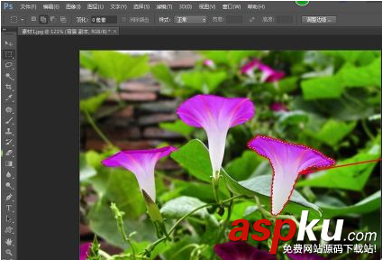 ps,马赛克,图片