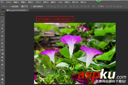 ps,马赛克,图片