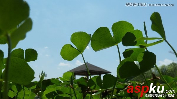 PS教程,PS技巧