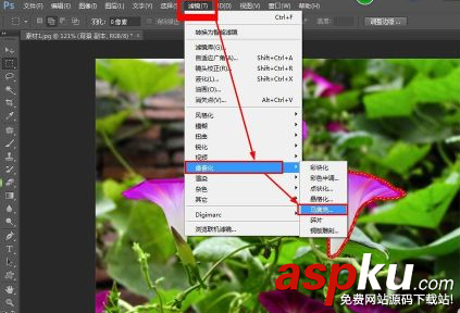 ps,马赛克,图片
