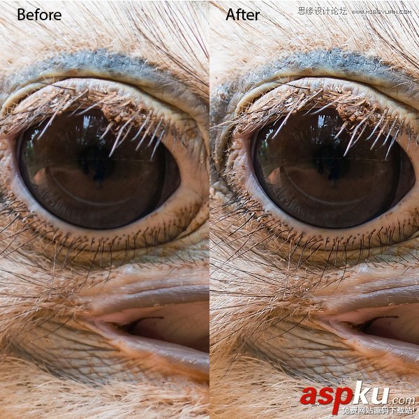 Photoshop技巧,PhotoshopCC,PhotoshopCC教程