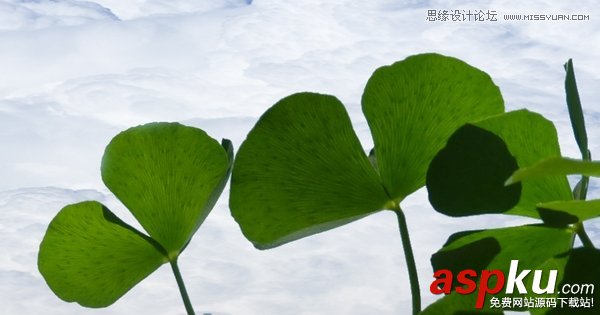 PS教程,PS技巧