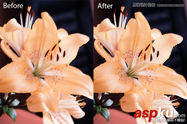 Photoshop技巧,PhotoshopCC,PhotoshopCC教程