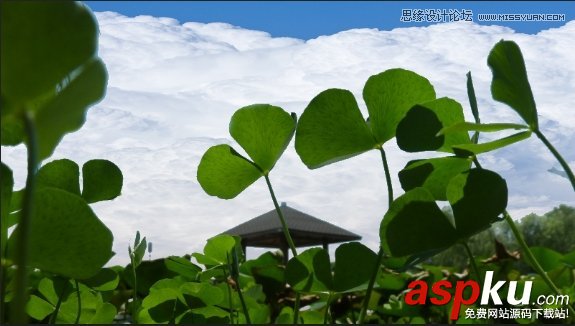 PS教程,PS技巧