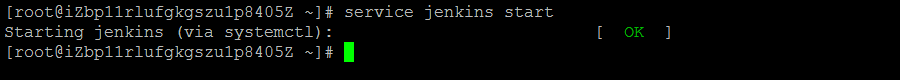 linux,安装jenkins,linux上安装jenkins,linux中安装jenkins