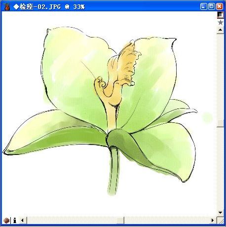 用painter与数码板绘制逼真百合花