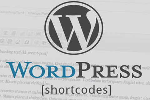 WordPress报错 assumed ‘ture’的解决办法