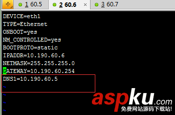 linux下dns服务器配置,dns服务配置,linux,dns设置