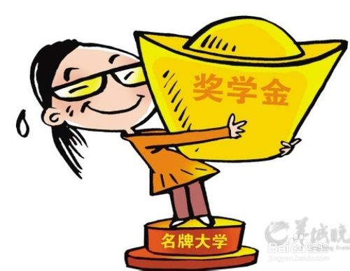 大学生,创业,项目