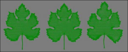 3ds max教程:制作饱满多汁葡萄_网页设计VeVb.com整理