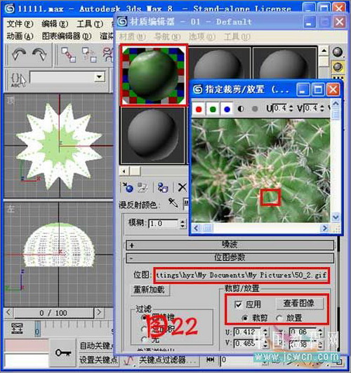3ds max毛发修改器制作逼真仙人球