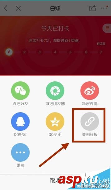 京东,钢镚,小白卡