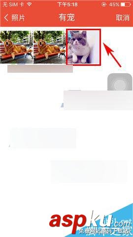 微爱,情侣封面