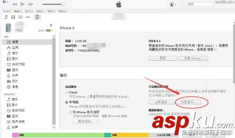 苹果手机,短信,iPhone
