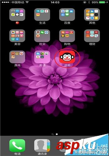 逗拍