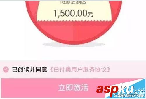 美丽说,白付美