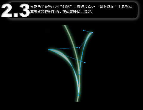 fireworks制作x－ray暗黑中的花朵